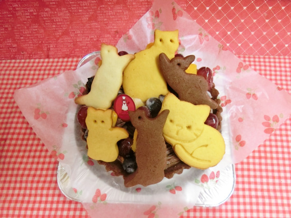 ５号　ネコのクッキーとフルーツトッピングのチョコタルト♪(＾◇＾) 5枚目の画像
