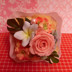 シャーベットカラーのフレームにアレンジした薔薇のプリザーブドフラワーと野菜や果物を使った焼き菓子６袋のギフトセット 3枚目の画像
