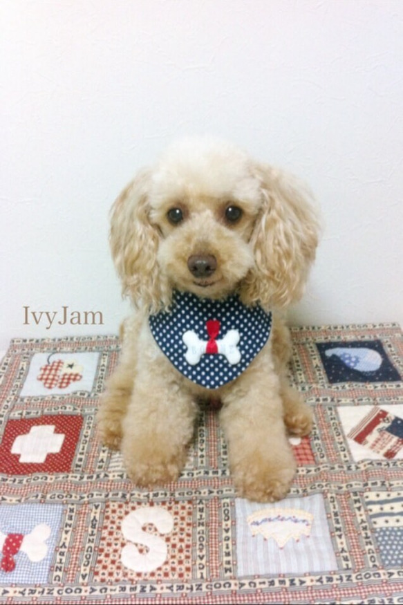 ivyjam バンダナ 4枚目の画像