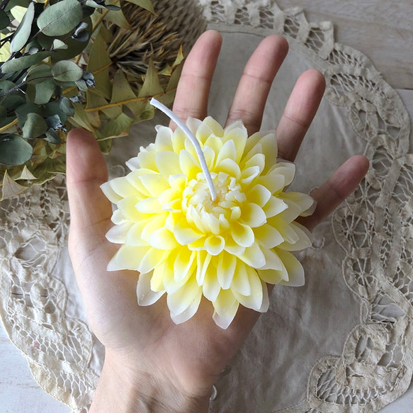 花蠟燭“dahlia（B）” 第3張的照片