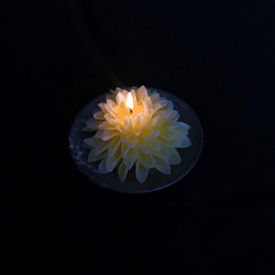 花蠟燭“dahlia（B）” 第4張的照片