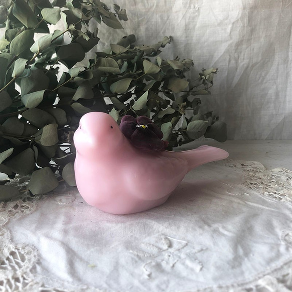 bird (pink) 第4張的照片