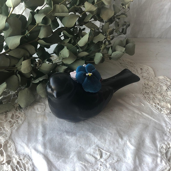 bird（black） 第1張的照片