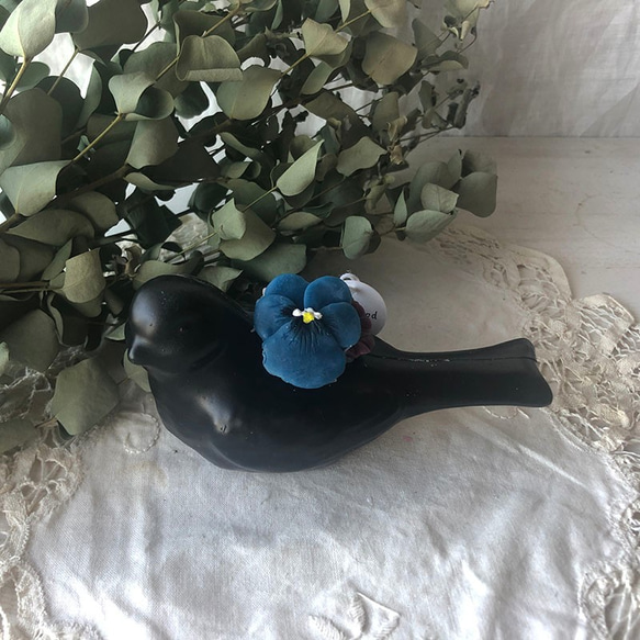 bird（black） 第2張的照片