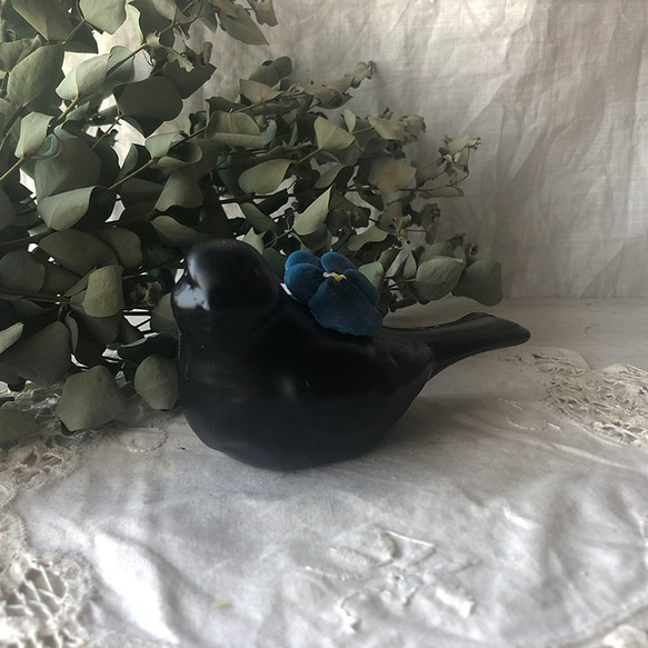 bird（black） 第4張的照片