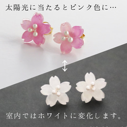 色が変わる＊桜の一粒ピアス 2枚目の画像