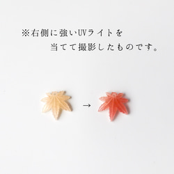 色が変わる＊ 紅葉 もみじ　ピアス 2枚目の画像