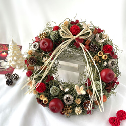 クリスマス＊スパニッシュモスリースM リース 花＊花 通販 12839446