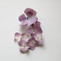 紫陽花　イヤークリップ 1枚目の画像