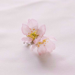 桜　２輪のイヤリング（ピアスへの変更可） 2枚目の画像