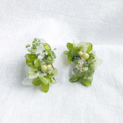 ear bouquet _Wild flowers / green×white 1枚目の画像