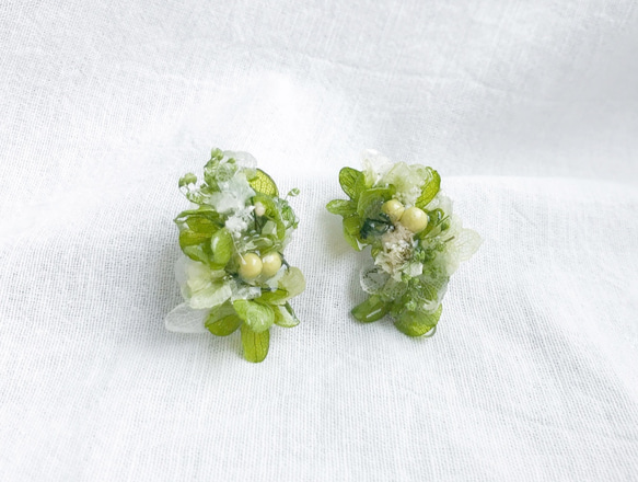 ear bouquet _Wild flowers / green×white 1枚目の画像