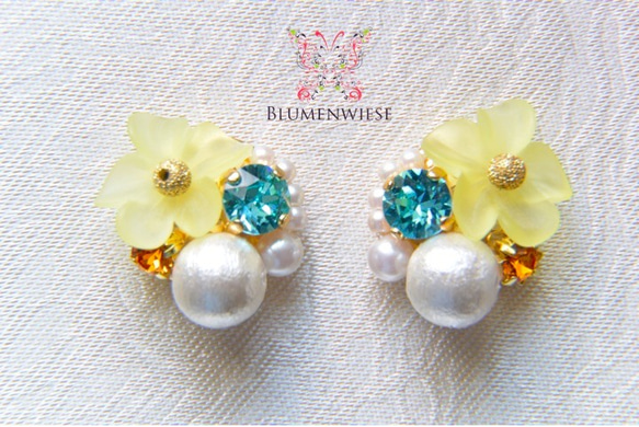 Plumeria bijoux 第1張的照片