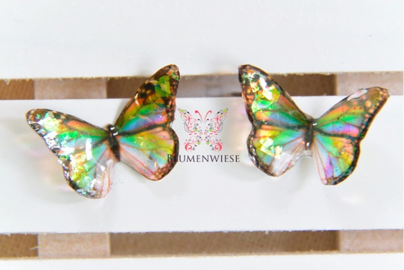 Tiny rainbow butterfly 2枚目の画像