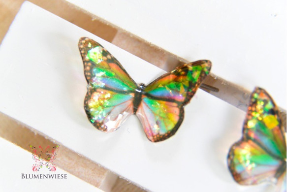 Tiny rainbow butterfly 3枚目の画像