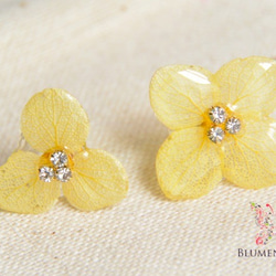 Pastel hydrangea earrings 第1張的照片