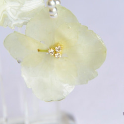k14gf elegant hydrangea (white) 第5張的照片