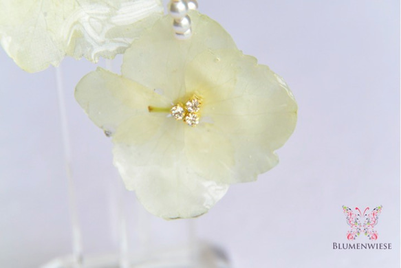 k14gf elegant hydrangea (white) 第5張的照片