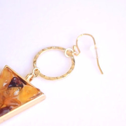 Baltic amber earrings 第3張的照片
