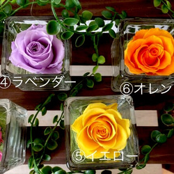 glass cube rose 〜ガラスに入った可愛いプリザーブドフラワー〜1輪のバラ〜（受注制作）バラ　ローズ 4枚目の画像