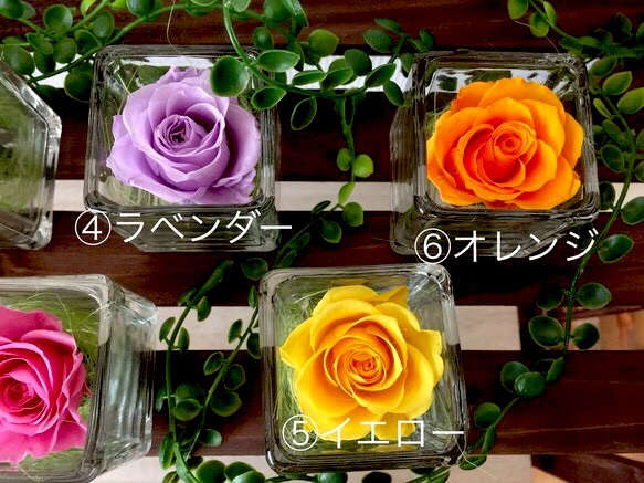 glass cube rose 〜ガラスに入った可愛いプリザーブドフラワー〜1輪のバラ〜（受注制作）バラ　ローズ 4枚目の画像