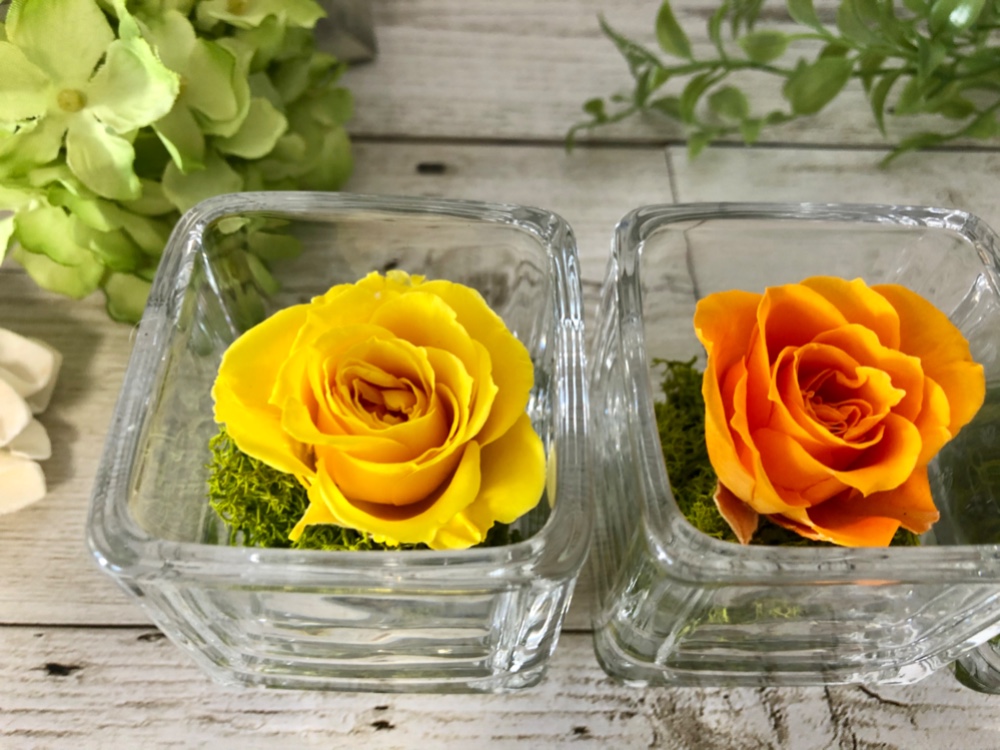 Alpha-k - glass cube rose 〜ガラスに入った可愛いプリザーブド  