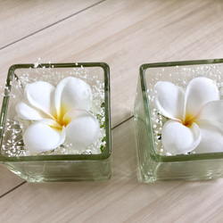 glas cube Plumeria 2枚目の画像