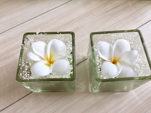 glas cube Plumeria 2枚目の画像