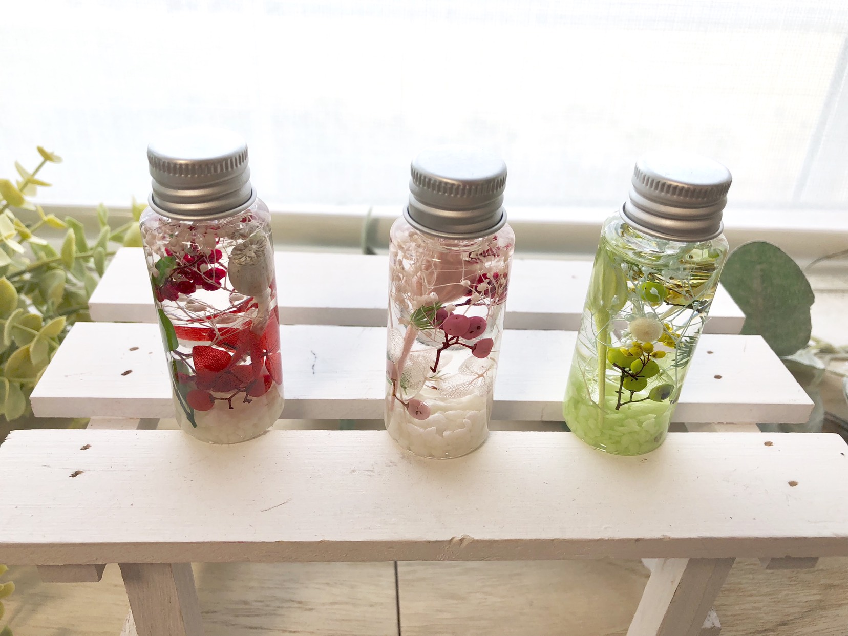 errer ガラスドーム ハーバリュウム アンティーク 標本 植物標本 ミニ