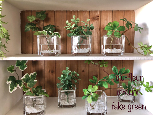 フェイクグリーン glass cube マジカルウォーター 造花 人工観葉植物