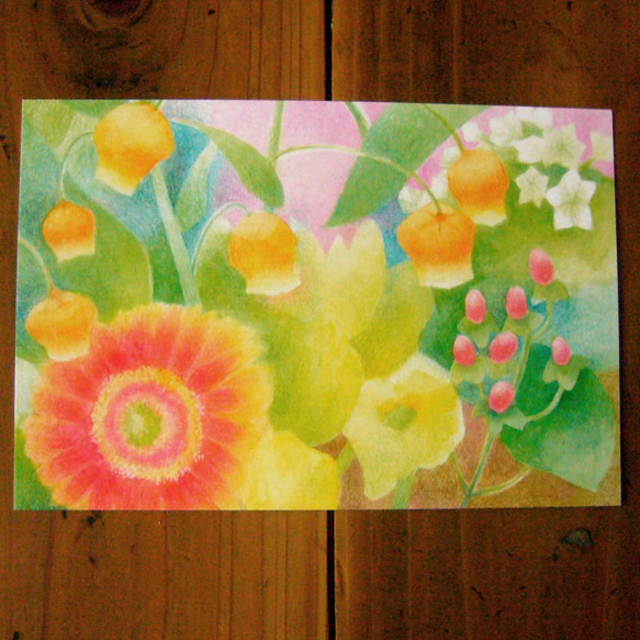 色鉛筆画ポストカード4種/夏 3枚目の画像
