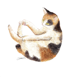 ポストカード【日本猫】4枚セット 1枚目の画像