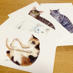 ポストカード【日本猫】4枚セット 5枚目の画像