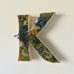 BOTANICAL LETTER SIGN / SMALL / K　ボタニカルレターサイン K 4枚目の画像