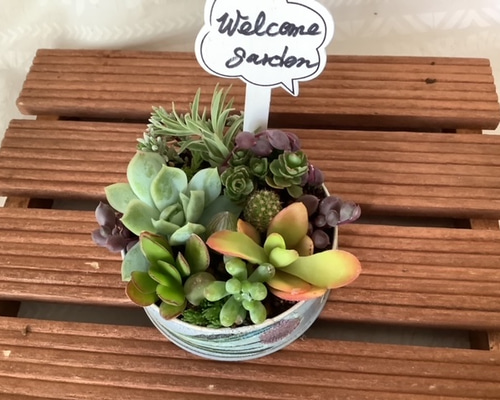 ひい♪ 多肉植物寄せ植え＊*º.:車:.ピアノ:.リース*:♡ 多肉植物寄せ植え143（ピック付き） リース hanayumo 通販