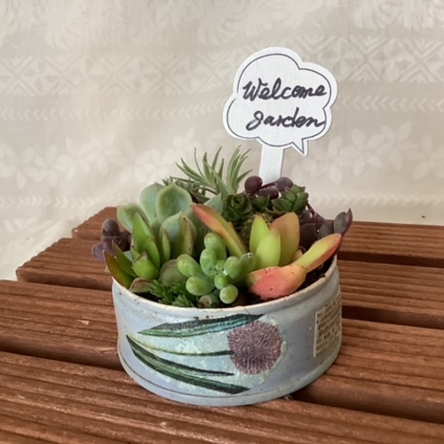 ひい♪ 多肉植物寄せ植え＊*º.:車:.ピアノ:.リース*:♡ ひい♪ 多肉植物寄せ植え＊*º.:車:.ピアノ:.リース*:♡ Grand