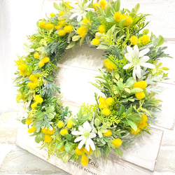 未使用☆春色リース☆グリーン☆C 未使用☆春色リース☆グリーン☆C 【公式通販】