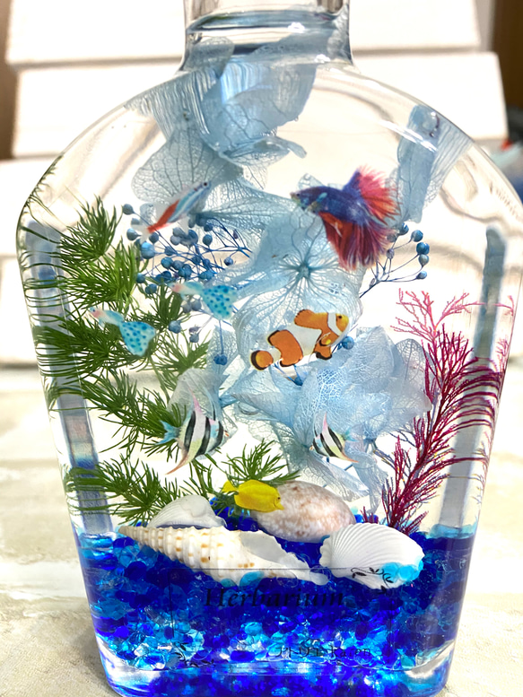 アクアハーバリウム 熱帯魚シリーズNo.20 ウィスキーボトル ハー 