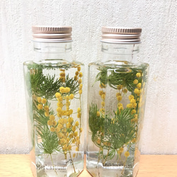 ミモザハーバリウム(植物標本) 六角柱  Sサイズ 1本1400円 1枚目の画像