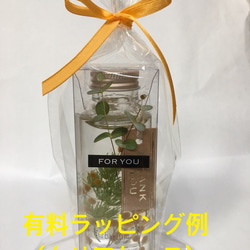 ミモザハーバリウム(植物標本) 六角柱  Sサイズ 1本1400円 2枚目の画像