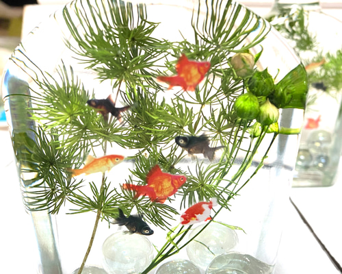 ハーバリウム☆ボトルフラワー オーダーご相談ページ(*´▽｀*) ハーバリウム＊ウィスキィーボトル・オーダー ・ ・ お誕生日の