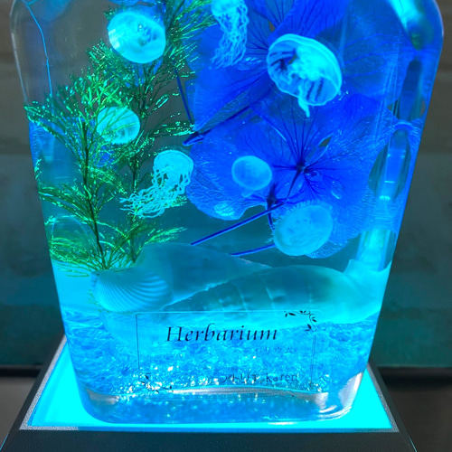 楽天市場】＼早割実施中／ FLOWERiUM ハーバリウム 誕生石と誕生