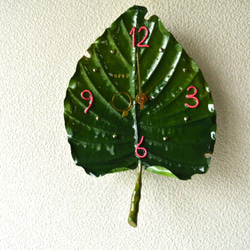 ATOSシリーズ　グリーンオアシスの時計4 1枚目の画像