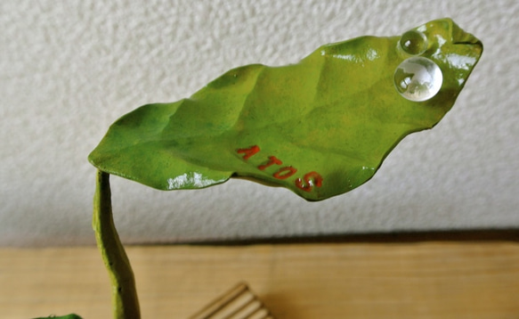 ATOSシリーズ　グリーンオアシスのプレート１9　ミニ観葉植物5 3枚目の画像