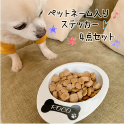 【匿名配送】犬用ペットフード　4点セット