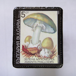 保加利亞郵票胸針1383 第1張的照片