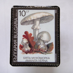 保加利亞郵票胸針1385 第1張的照片