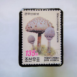 韓国　切手ブローチ1396 1枚目の画像