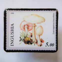 印古什共和國郵票胸針1416 第1張的照片