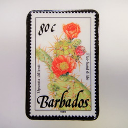 巴巴多斯花郵票胸針3321 第1張的照片